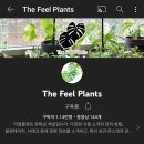 이벤트플랜트 이미지
