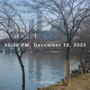 바나프레소남대문점 | 2025.12.15~31]워킹맘직딩일기-12월 마무리/철수/회식/남대문시장데이트/토리생일/호캉스/신세계본점데이트