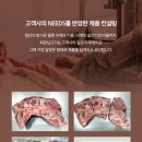 부광미트