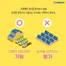 햇살농사