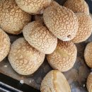남원루(와선루) | 남원 여행 1. 백종원 3대 천왕 명문제과 ㅣ 빵집 핫한 곳