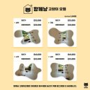 제주냐옹실 고양이미용 | 수원 고양이 미용 잘하는 곳 함께냥 북수원점 내돈내산 후기