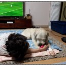 산새랑 게스트하우스 이미지