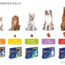현대가축약품 이미지