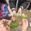생태교육 | [공지] [생태전환교육 수업 후기]우리 학교 정원 탐험대의 식물도감 만들기_ 원예지도사 출강이야기