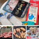 개님의상점 | 반려견과 함께 즐기는 개님의상점 개님캠핑세트 바베큐 고기 파티