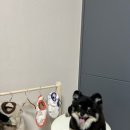 견국지색 네이버블로그