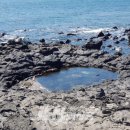 무릉도원올레 이미지