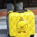 헬로우덕