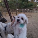 올리스 일산백석점 이미지