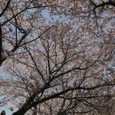 금산종합고등학교 이미지