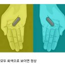 스트레스 수치에 따라 다르게 보인다는 사진 이미지