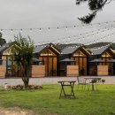 데이데이온데이 이미지