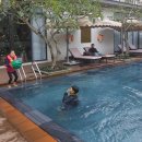 수종농장 | 가족과 함께 떠난 베트남 여행(6박8일) 둘째 날 후기