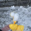 씨유 천안성환성월점 | 11. 너는 소중해, 오늘도 파이팅💪