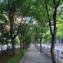 이창선 행정사사무소 이미지