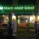 March rabbit(마치 래빗) 이미지