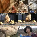 모정농장 이미지