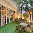 부산애견 이미지