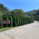 명진케어 이미지