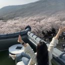 보보스카페 이미지