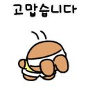 티와이테니스아카데미