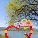 양평 갈산공원 벚꽃축제(24. 5. 9) 이미지