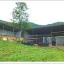 정화축사 이미지