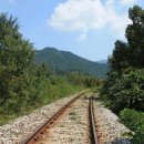 섬진강 레일바이크 이미지