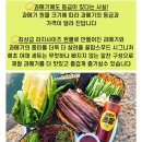 해초과메기