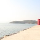 공룡민박 이미지