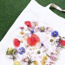 자연의 색 물들이기 이미지