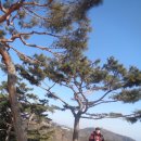 마루공원 입구 이미지