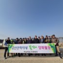 법인대대인 더코리아