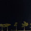 종화식품