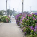 안성리-7 이미지