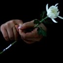 노래를찾는사람들 이미지