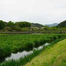 상전면행정복지센터 이미지