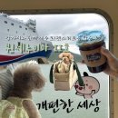 개편한편의점 | 목포 제주편 퀸제누비아2 애견동반 펫스위트룸 예약 방법 식당 부대시설 이용 후기