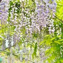 오창초 가좌분교 이미지