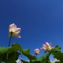 나들이농장 이미지