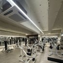 인싸짐 계산점 이미지