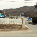 음기경로당 Daum카페