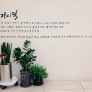 순흥떡집