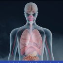 랩코리아 | 2026 코리아랩, 지티사이언 참가 후기 ｜KOREALAB 연구·실험 및 첨단분석장비전 킨텍스 전시