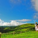 으뜸목장 이미지