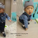 꼬꼬마옷장 | 생후 540일, 꼬꼬마의 옷장 후기인척하지만,,