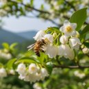 무주잡화 이미지