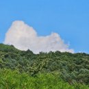 용소계곡 민박 | 서울 근교 프라이빗 계곡 감성 펜션, 가평 쏠스테이