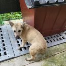 흥전4리마을회관 이미지